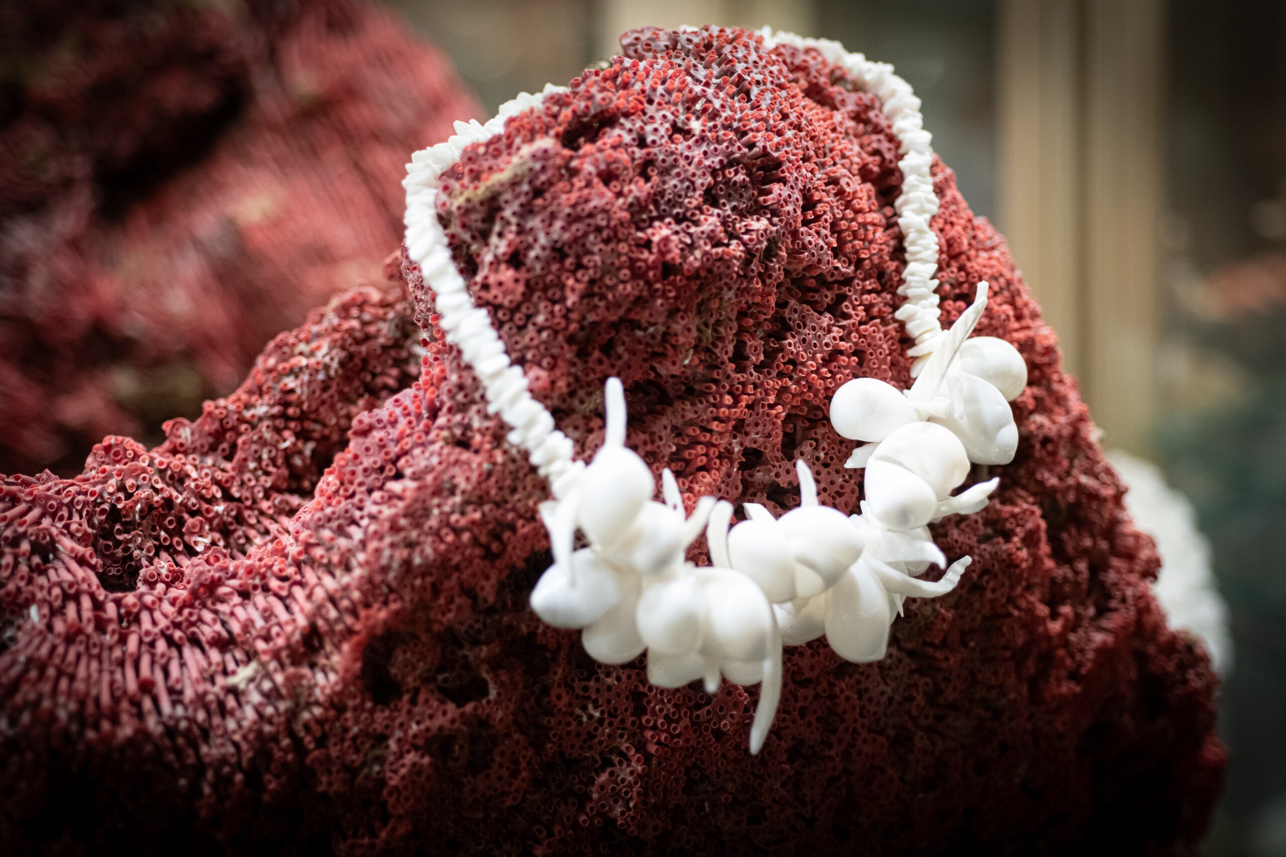 musée coquillage vendée